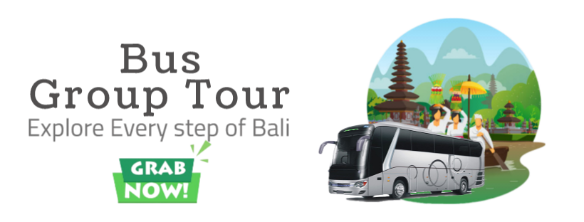 bus-group-tour-bali-25-30-passengers