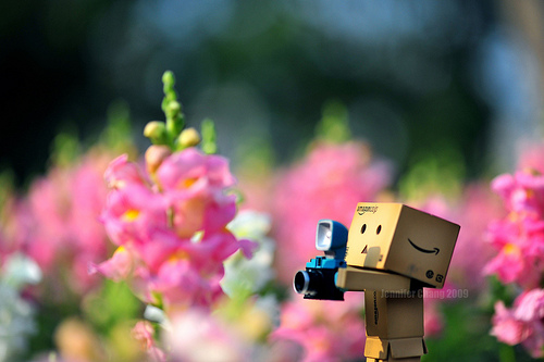 SulfiaNisty: Gambar Danbo LOVE