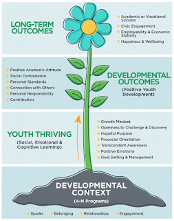 Developmental context graphic for 4-H programs