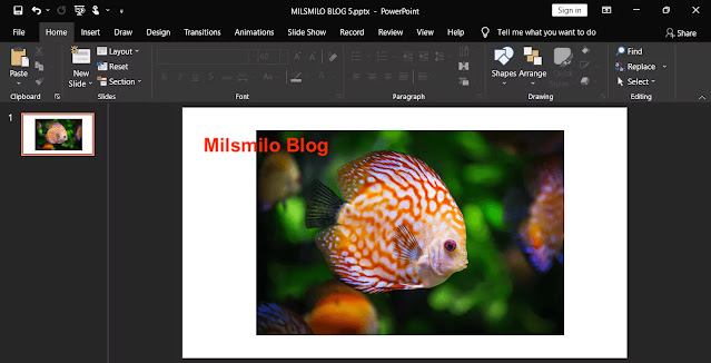 Cara memasukan gambar ke shape powerpoint, membuat gambar masuk di dalam shape ppt, memasukan gambar sesuai bentuk shape powerpoint