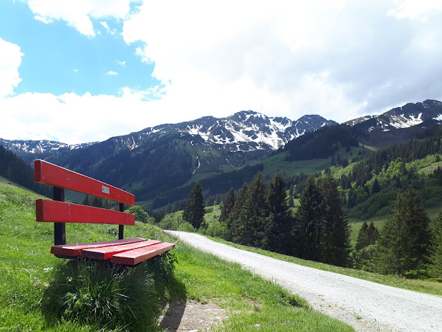 Hiking trail in the Wildschönau valley in Tirol Austria