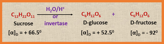 Hydrolysis of sucrose