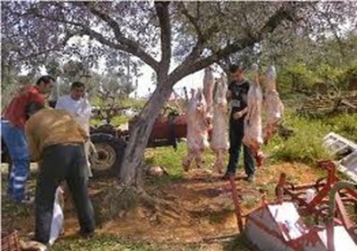 Σφαγή