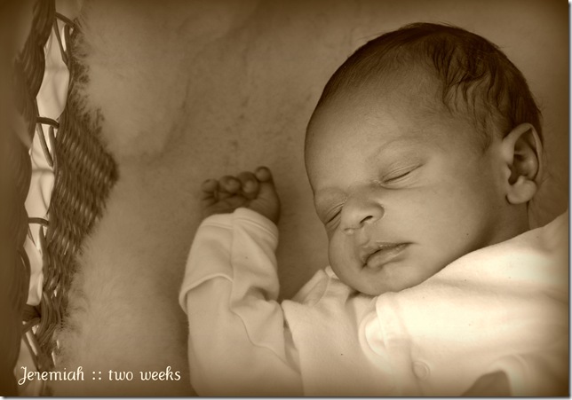 Jeremiah2wksold