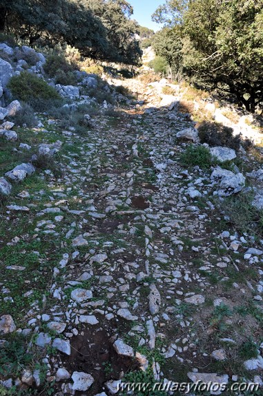 Calzada de Villaluenga a Grazalema