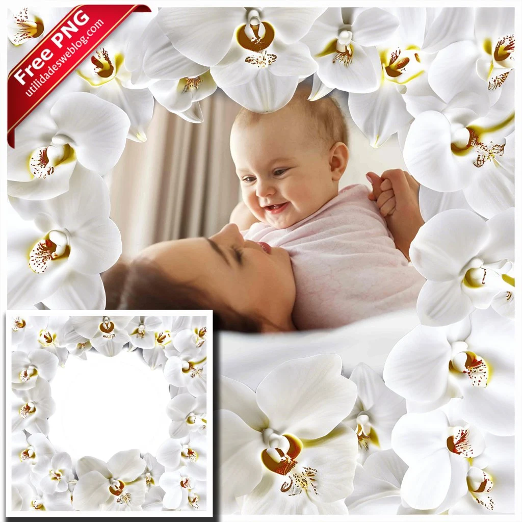 marco para fotos con flores de orquideas blancas en png con fondo transparente para descargar gratis
