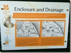 IMG_2010