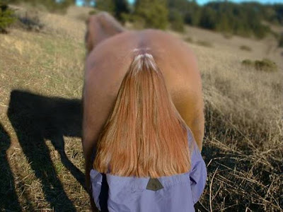 Horse Tail Illusion Hidden Women Illusion
