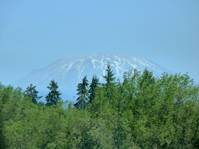 Mt Adams