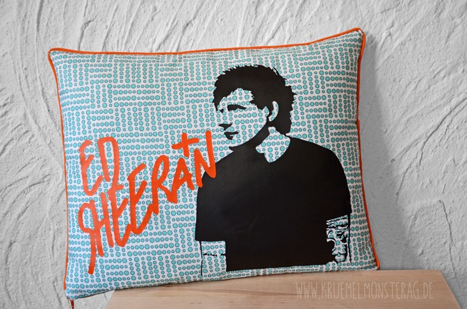 Ed Sheeran (02) Minifankissen