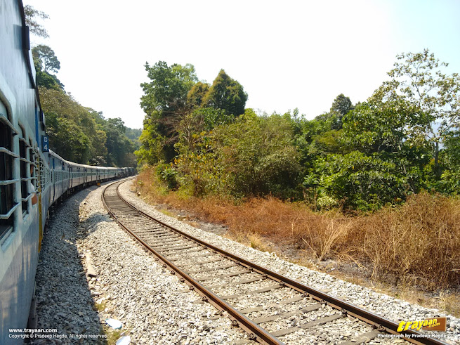 Mangaluru Bengaluru broad gauge train passing through Shiradi Ghats section of Sahyadri - Western Ghats
