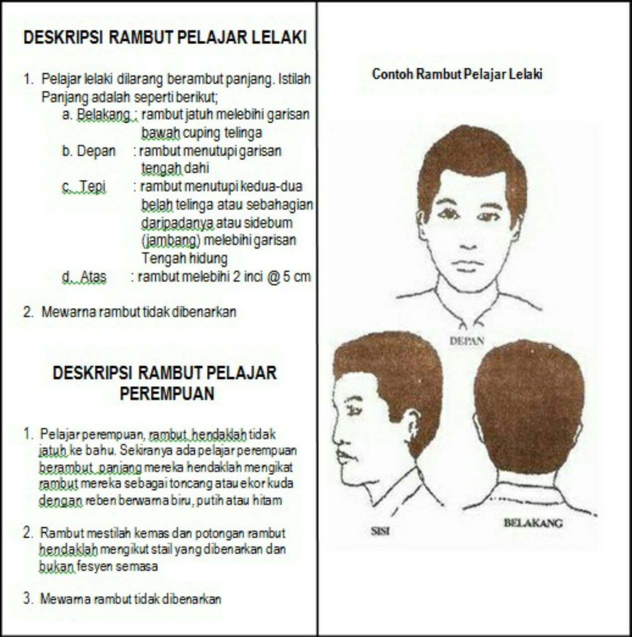 cerita ku PERATURAN RAMBUT  MURID LELAKI 