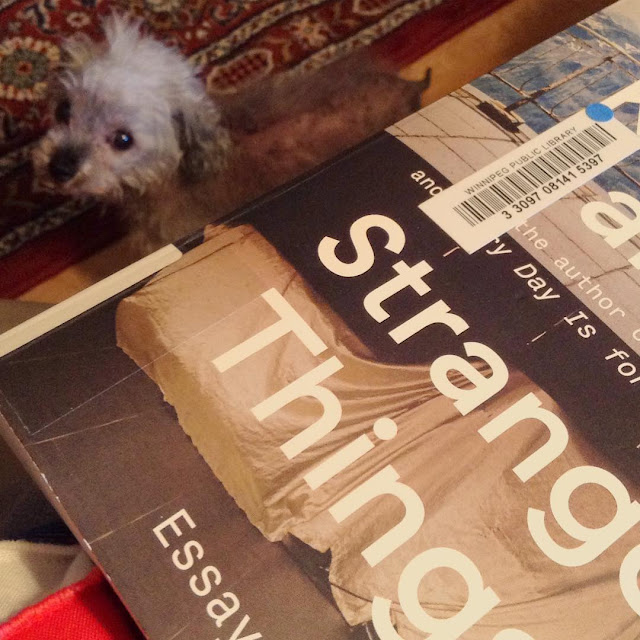 Murchie stands on the floor, his head craned up to look over his shoulder at the viewer. Closer to the camera and some distance above Murchie is a trade paperback copy of Known and Strange Things. Its cover features a photograph of a balcony with something covered in a white drop sheet on it.