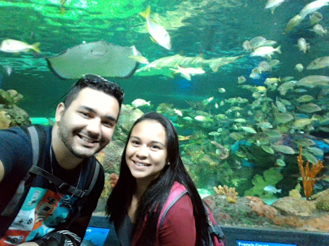 aquarium-canada-toronto