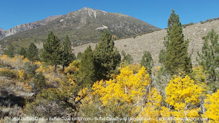 Parker Lake Trail Hike  – Fall colors along the Parker Lake trail in the Sierra Nevada Mountains