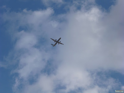 飛行機