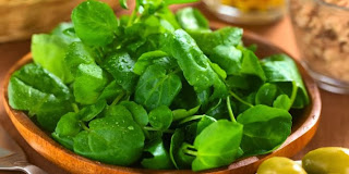 Watercress Benefits & Nutrition Facts