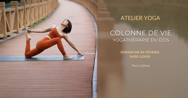 atelier yoga colonne de vie yogathérapie du dos