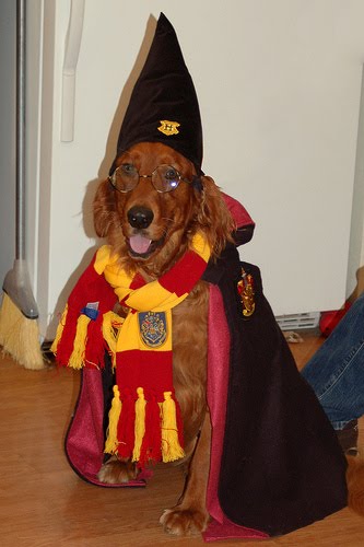 mascotas harry potter