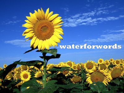 waterforwords