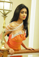 Shriya, Pix, From, Chandra