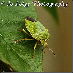 IMG_7376