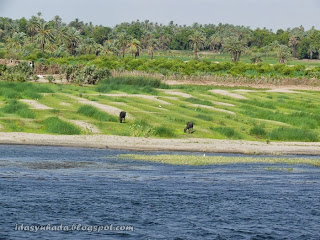 Menyusuri Sungai Nil