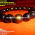 Wood Bracelet : Gelang Akar Bahar Tali Arus Mas Gold Coral Ukuran 12 mm