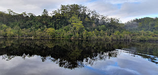 Reflections - Gordon River