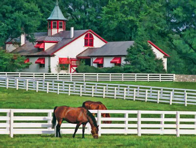 Tattoos Lexington on Care City Surrounding Countryside Farms Gorgeous Kentucky Horse Farm