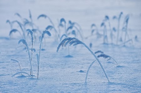 NAMC Montessori snow activities snowy field of grass