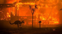 Krisis Kebakaran di Australia Lebih dari 60.000 Km persegi