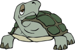 illustration, turtle