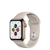Apple Watch Gold Stainless Steel Case with Sport Band