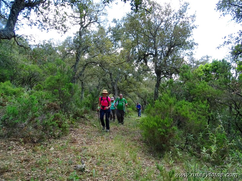 El Colmenar - Camino de los Arrieros - Puerto de los Peñones - Puerto de la Venta - Garganta de Los Charcones