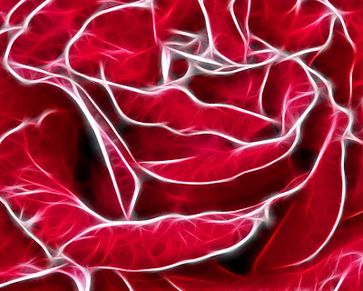 Desktop Wallpaper Roses. rose wallpaper desktop.