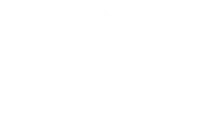Bordando Elódia
