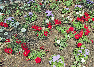 Mission Valley San Diego Bright Flowers