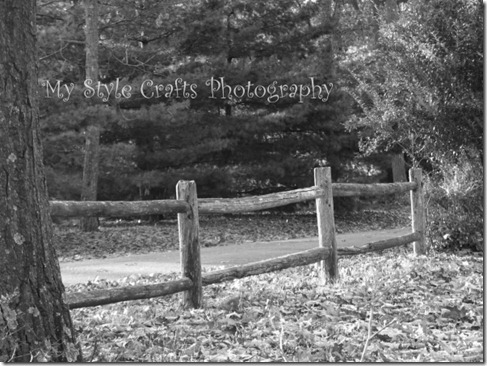 Fall Trail B&W - watermarked artfire