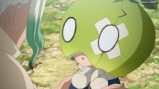 ドクターストーンアニメ 1期11話 スイカ 眼鏡 ボヤボヤ病Dr. STONE Episode 11