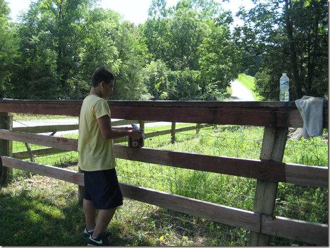 Travis painting the fence