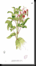 clip_image009