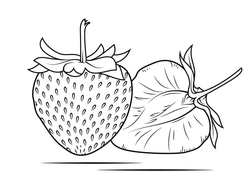   20 Sketsa  Gambar  Buah buahan Yang Mudah Diwarnai Untuk 
