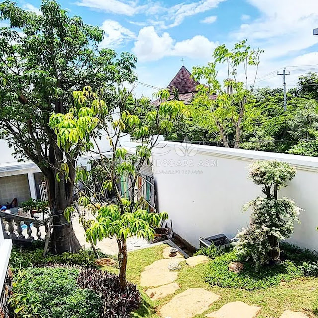Tukang Taman Semarang Profesional Landscape Taman Berkualitas Terbaik Tukang Taman Semarang Profesional Landscape Taman Berkualitas Terbaik