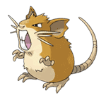 拉達 Raticate 配招最佳技能 - Pokemon GO寶可夢
