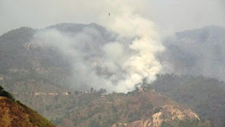 fire-in-mizoram-jungle