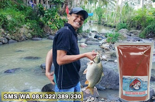 Umpan Ikan Mas Khusus Di Sungai