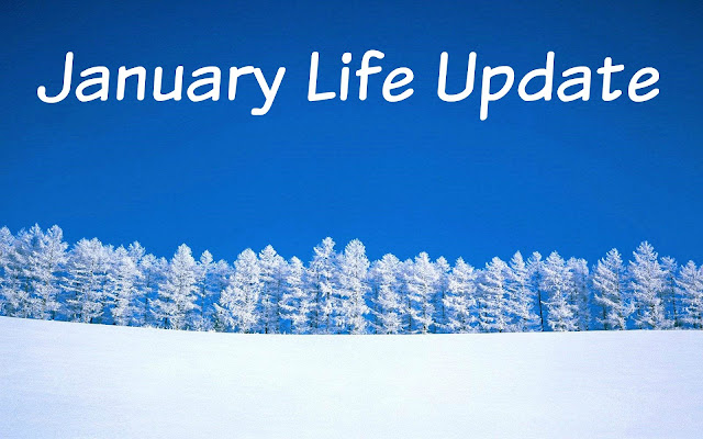 http://lostrightdirection.blogspot.com/2016/02/life-update-january.html