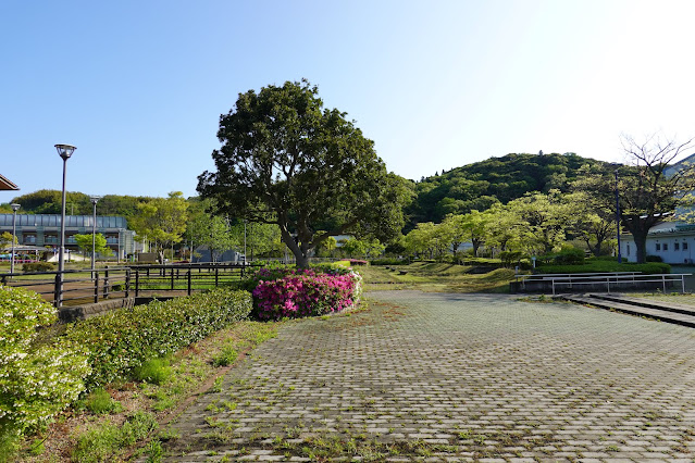 鳥取県東伯郡湯梨浜町藤津　東郷湖羽合臨海公園