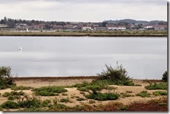 Burnham Overy Staithe (looking from Gun Hill)
